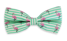 Load image into Gallery viewer, bow tie online uae